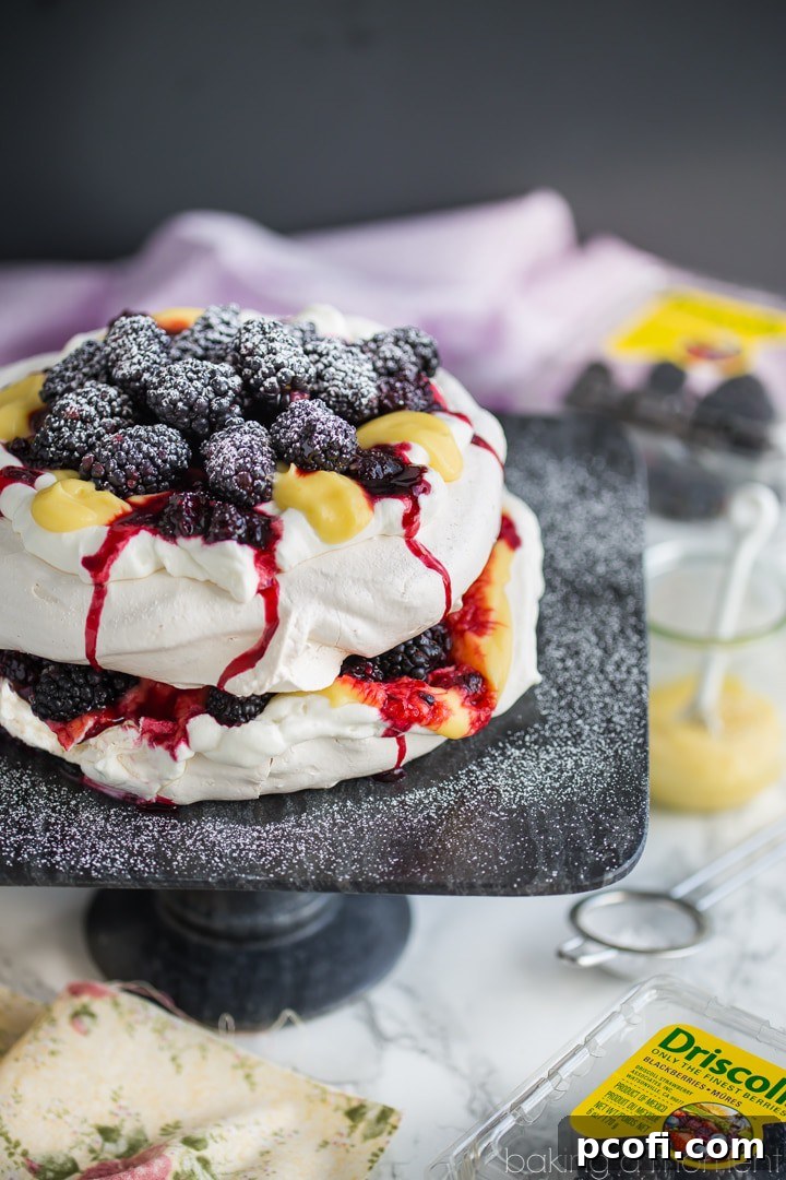 An overhead shot of the completed Blackberry Lemon Pavlova, garnished with a dusting of powdered sugar. The intricate layers of meringue, whipped cream, lemon curd, and whole blackberries are showcased, highlighting its beauty and the fresh ingredients from Driscoll's Berries.