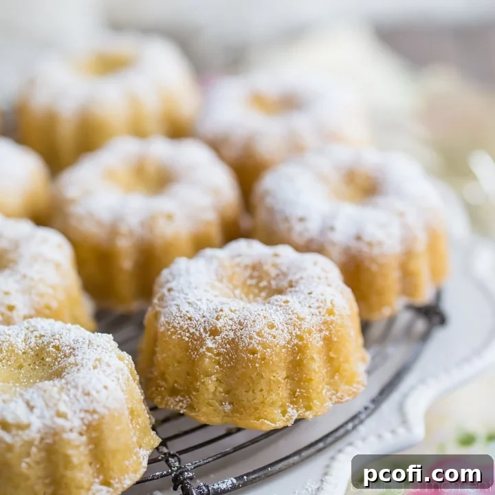 This butter cake recipe is simple as can be, but so good! I use this for everything from layer cakes, to bundts, to cupcakes. Pairs perfectly with any kind of topping and it's super-simple to make! 