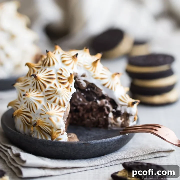 Double Chocolate Peanut Butter Oreo Baked Alaska - Layers of rich chocolate cake, creamy peanut butter Oreo ice cream, and toasted meringue, perfect for a showstopping dessert.