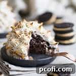 Double Chocolate Peanut Butter Oreo Baked Alaskas recipe image