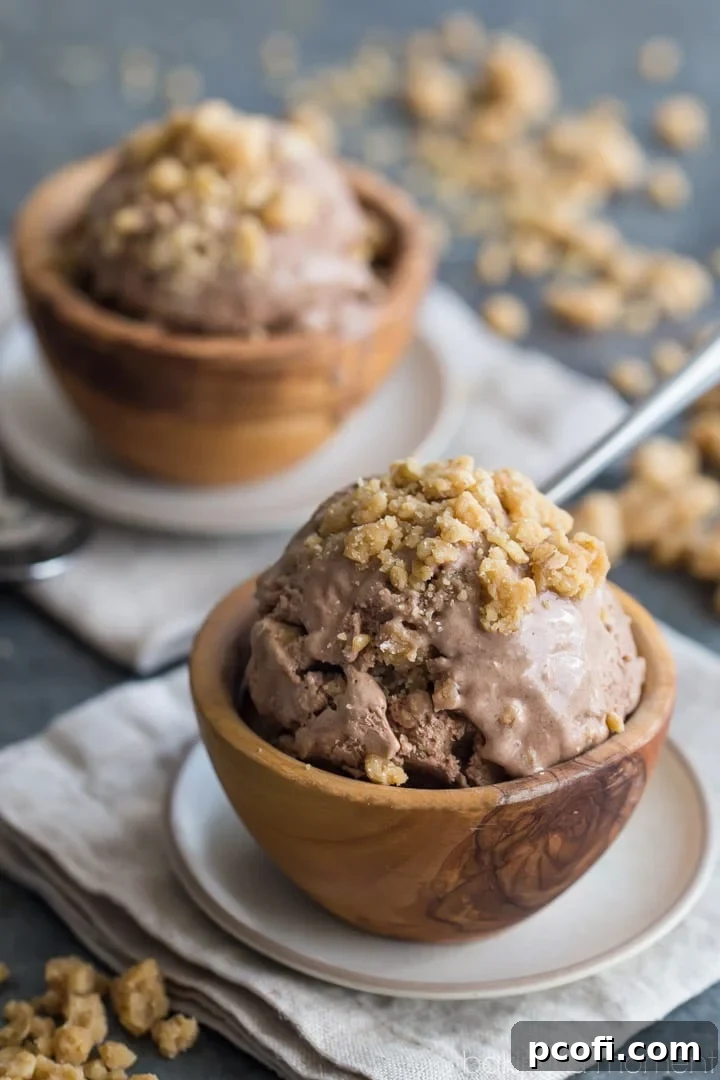 Close-up of chocolate ice cream with soft peanut butter cookie dough pieces.