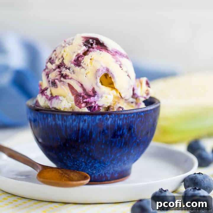 Sweet Corn Ice Cream with Blueberry Swirl - a truly unique and refreshing seasonal dessert
