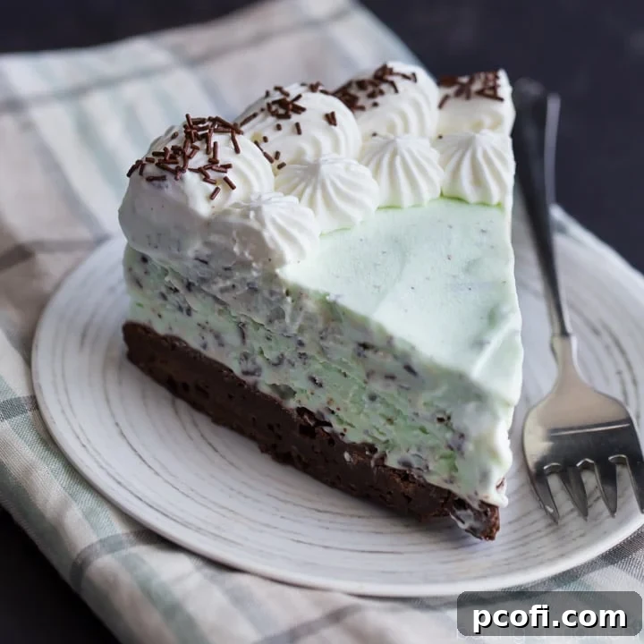 Mint Chocolate Chip Brownie Ice Cream Cake - A layer of homemade no-churn mint chocolate chip ice cream layered over a brownie crust. Perfectly refreshing.
