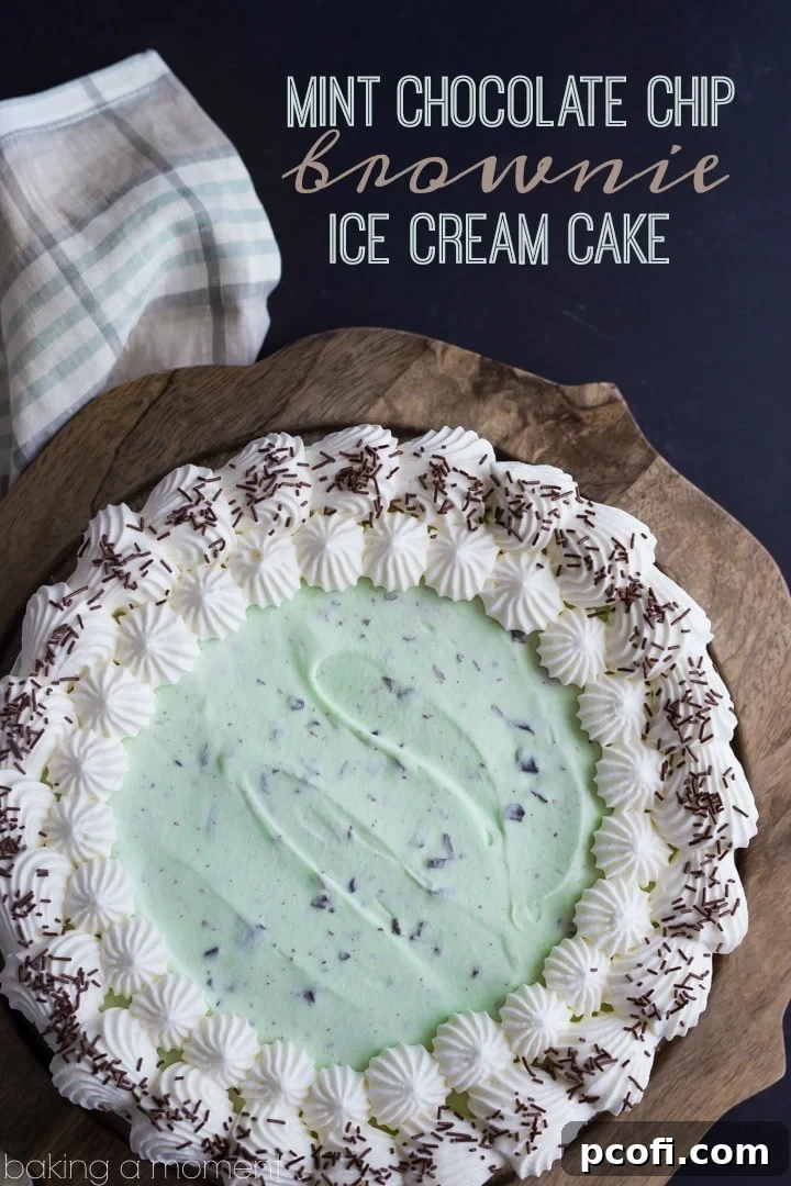 Mint Chocolate Chip Brownie Ice Cream Cake - A generous layer of homemade no-churn mint chocolate chip ice cream over a chewy brownie crust, ready to be enjoyed.