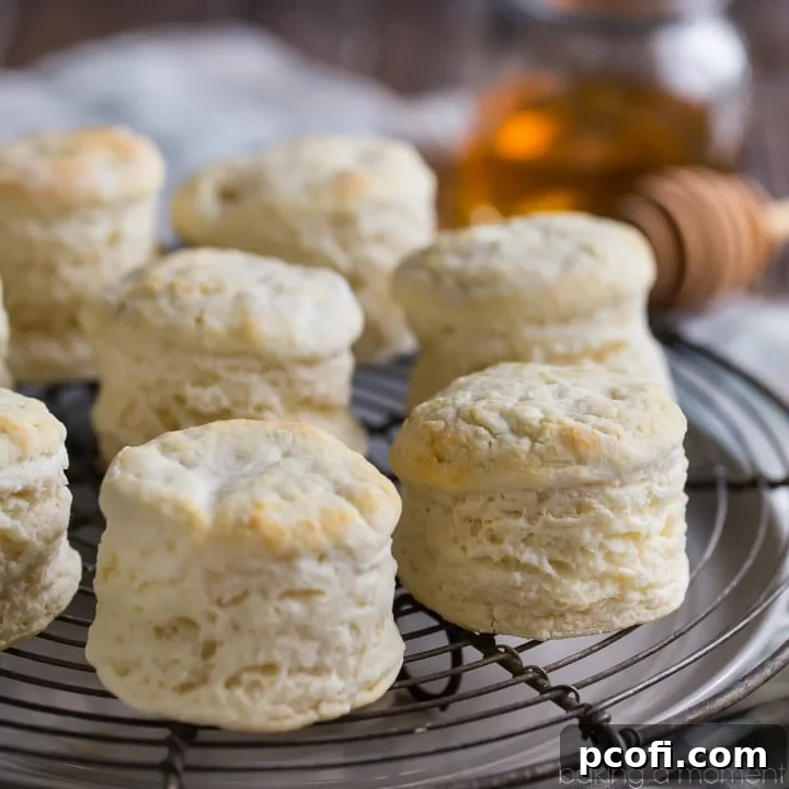 Close up image of a batch of tall, fluffy homemade buttermilk biscuits on a wire cooling rack.