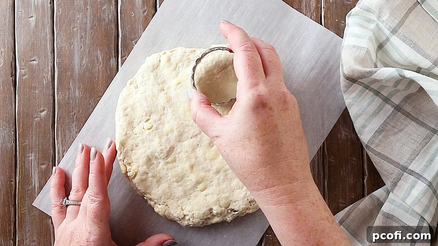 Cutting homemade buttermilk biscuit dough with a 2-inch diameter cutter.
