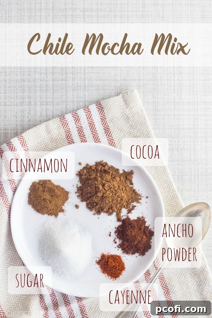 Homemade Chile Mocha Spice Mix stored elegantly in a glass jar, perfect for daily use or as a thoughtful coffee-lover's gift.