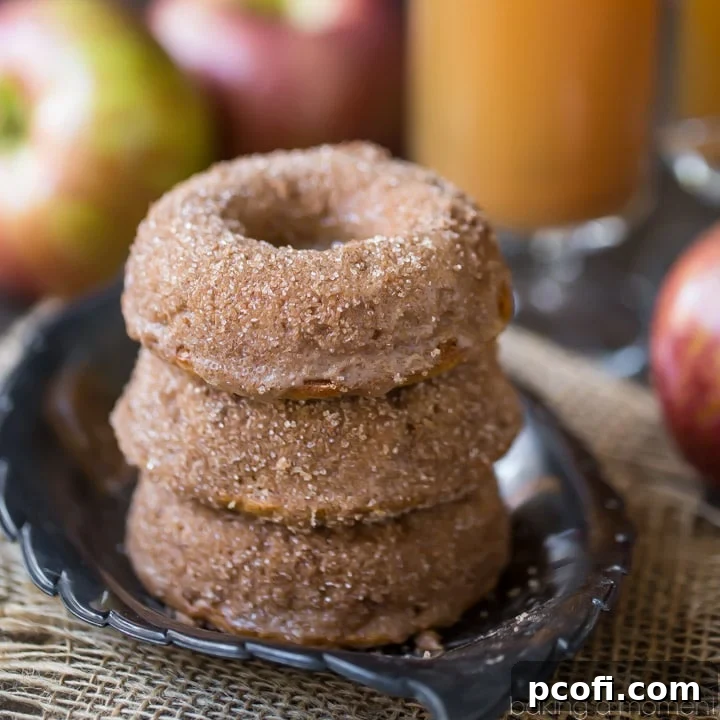 Tender baked apple cider donuts with a crunchy cinnamon sugar coating, embodying the essence of fall.