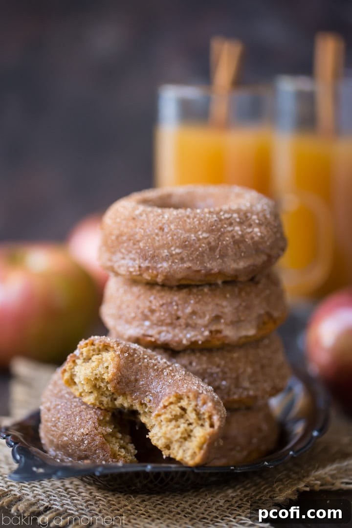 Close-up of baked apple cider donuts coated in sparkling cinnamon sugar, highlighting their crispy texture and delicious appeal.