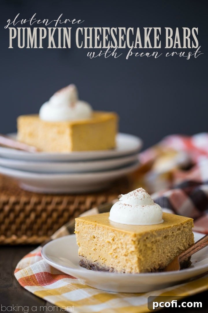 Pumpkin Cheesecake Bars: Cool, creamy, and infused with real pumpkin & spice. Loved that these were naturally gluten-free, that nutty crust is perfection! 