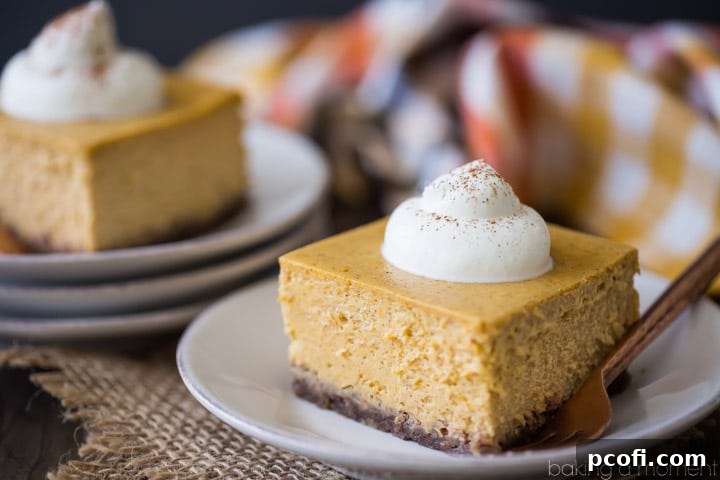 Pumpkin Cheesecake Bars: Cool, creamy, and infused with real pumpkin & spice. Loved that these were naturally gluten-free, that nutty crust is perfection! 