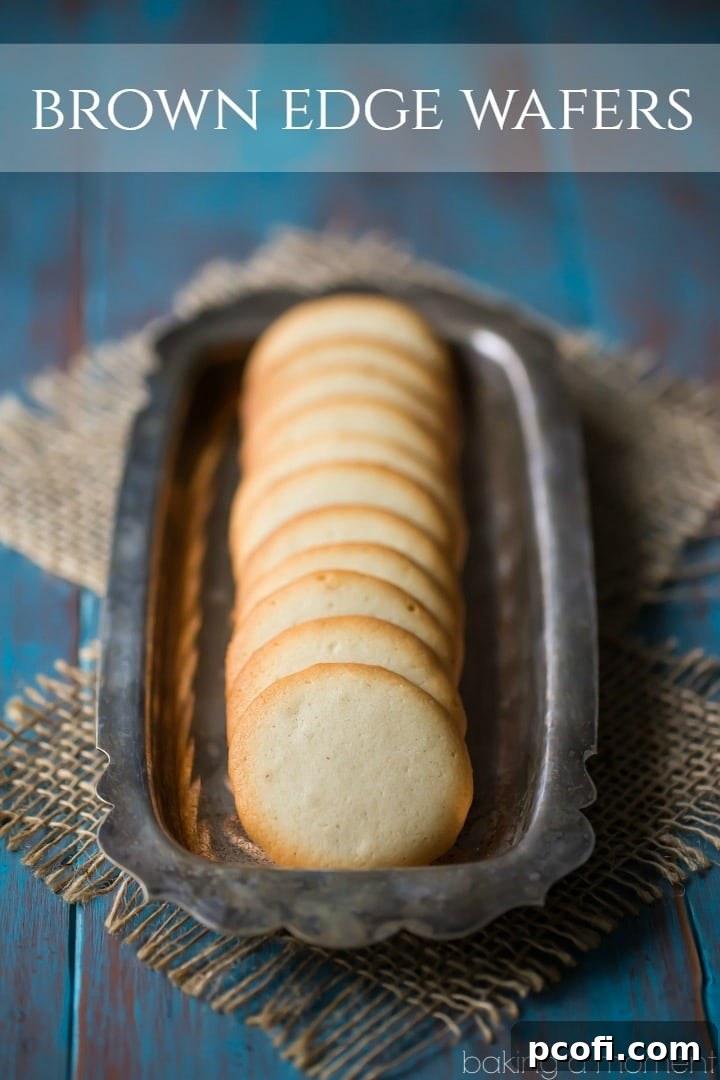 Close-up photograph of perfectly baked Brown Edge Wafers, highlighting their thinness and iconic caramelized edges