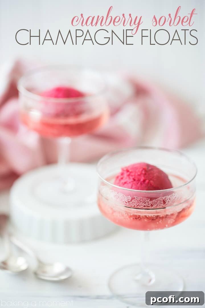 Close-up of a festive Cranberry Sorbet Champagne Float with a spoon, highlighting the sorbet texture.