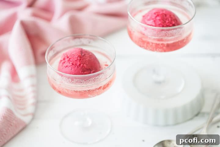 A single Cranberry Sorbet Champagne Float, beautifully presented in a champagne flute.