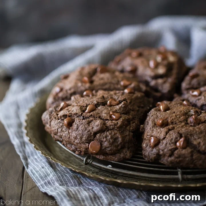 Freshly baked double chocolate scones with a rich, dark chocolate color and visible chocolate chips, perfect for breakfast or brunch.