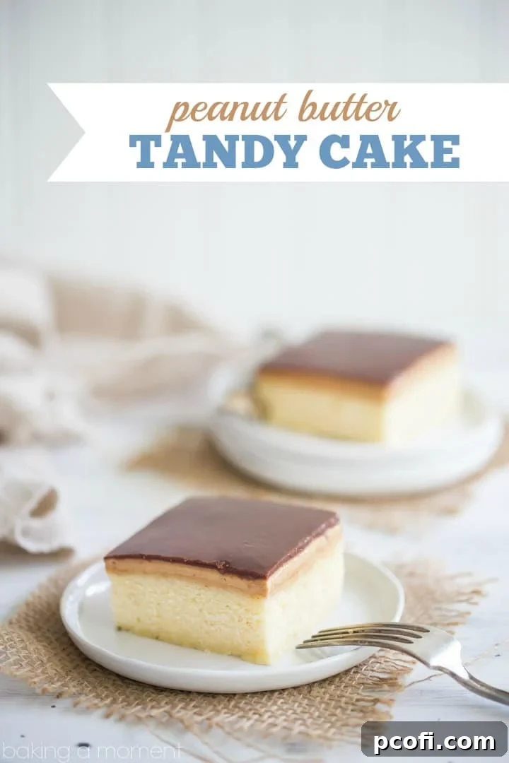 Classic Peanut Butter Kandy Kake: Recreate the beloved nostalgic treat at home with this recipe for a tender cake base, thick peanut butter topping, and glossy chocolate glaze. Perfect for family gatherings or a personal indulgence. food desserts cake nostalgic homemade