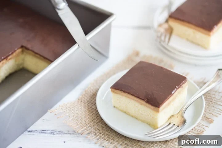 Delicious Peanut Butter and Chocolate Sheet Cake: Indulge in this comforting dessert featuring a moist cake, creamy peanut butter frosting, and smooth milk chocolate ganache, offering a perfect blend of flavors and textures. food desserts cake sweet treat