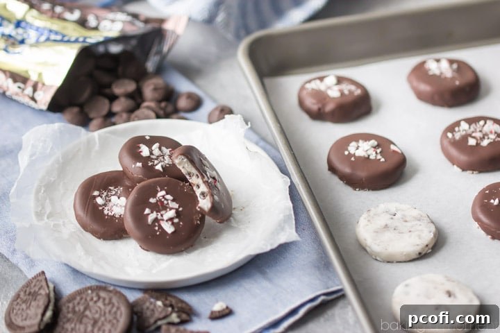 A festive spread of finished cookies and cream peppermint patties, showcasing their uniform size, smooth chocolate coating, and attractive garnishes, ready for a holiday gathering.