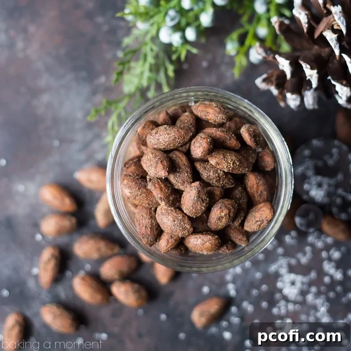 Gingerbread Spiced Almonds: a perfect last-minute holiday gift that tastes just like a gingerbread cookie. Easy to make in a big batch and package in pretty jars.