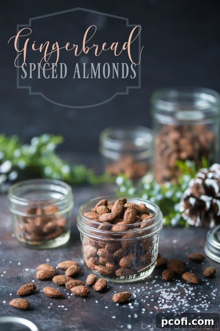 Delicious Gingerbread Spiced Almonds, a quick and easy homemade holiday treat ready for gifting.