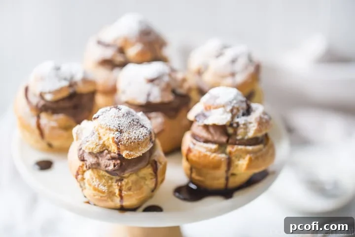 A beautifully garnished Mocha Cream Puff drizzled with chocolate and dusted with powdered sugar, ready to be enjoyed as a gourmet dessert.