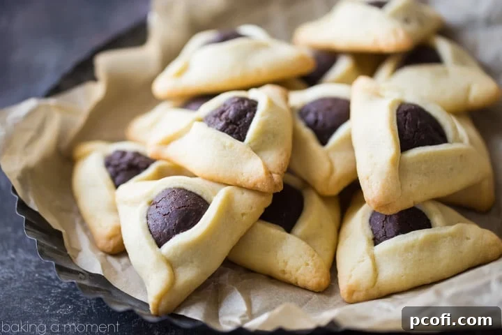 Fudge Brownie Hamantaschen - A trio of finished hamantaschen cookies presented on a minimalist white background, highlighting their elegant, rustic appearance.
