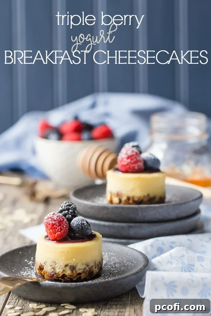 Triple Berry Honey Yogurt Breakfast Cheesecakes: these have a whole grain granola crust, and are sweetened with honey and made with Greek yogurt, so they're a perfect make-ahead, grab & go breakfast! food breakfast yogurt