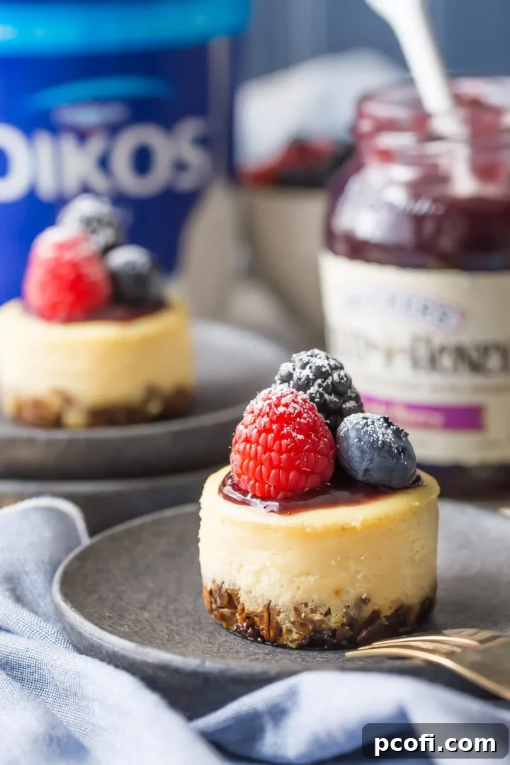 Triple Berry Honey Yogurt Breakfast Cheesecakes: these have a whole grain granola crust, and are sweetened with honey and made with Greek yogurt, so they're a perfect make-ahead, grab & go breakfast! food breakfast yogurt