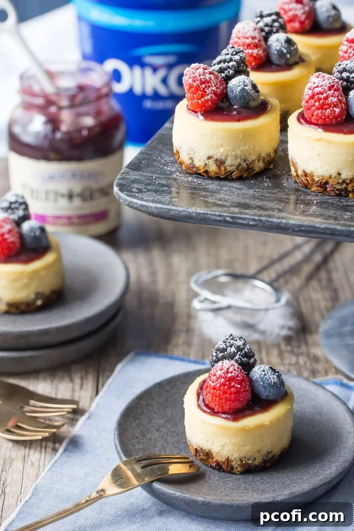 Triple Berry Honey Yogurt Breakfast Cheesecakes: these have a whole grain granola crust, and are sweetened with honey and made with Greek yogurt, so they're a perfect make-ahead, grab & go breakfast! food breakfast yogurt