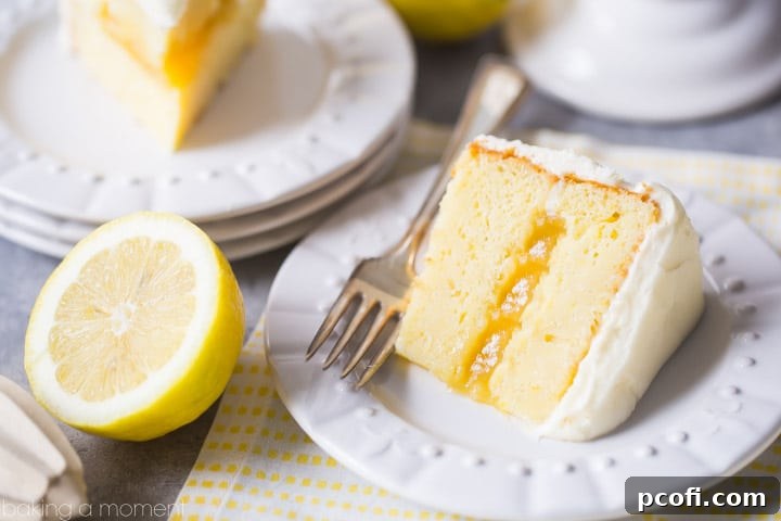Top view of the mini lemon cake with lemon slices on top.