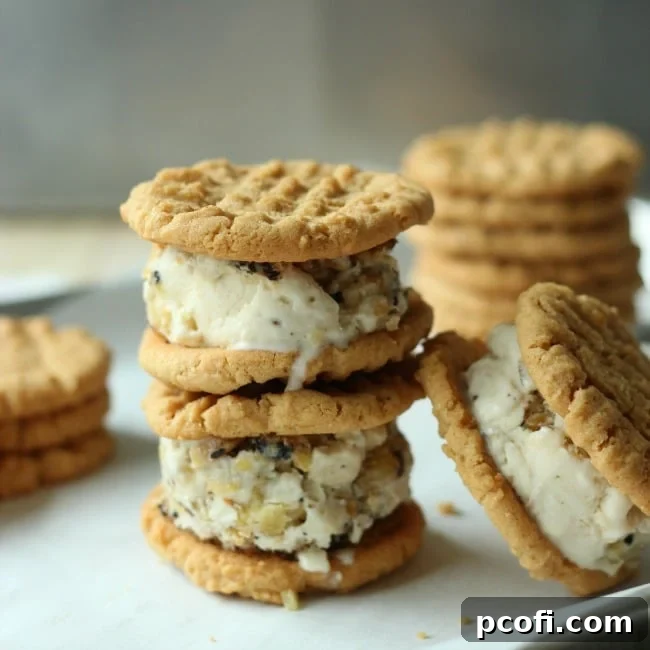 Thai Ice Cream Sandwiches featuring coconut ice cream with ginger, lime, and grilled pineapple between peanut butter cookies.