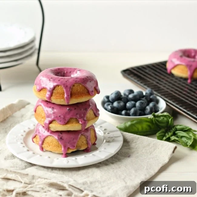 Baked Blueberry Sour Cream Donuts - Top view