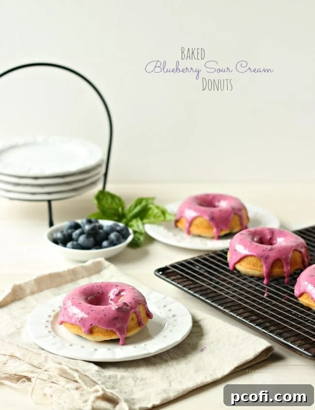 Close-up of baked blueberry sour cream donuts