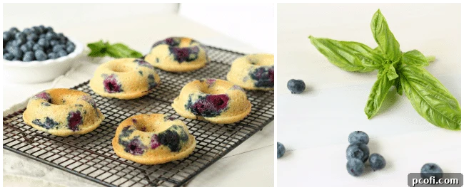 Close-up of a baked blueberry sour cream donut with glaze