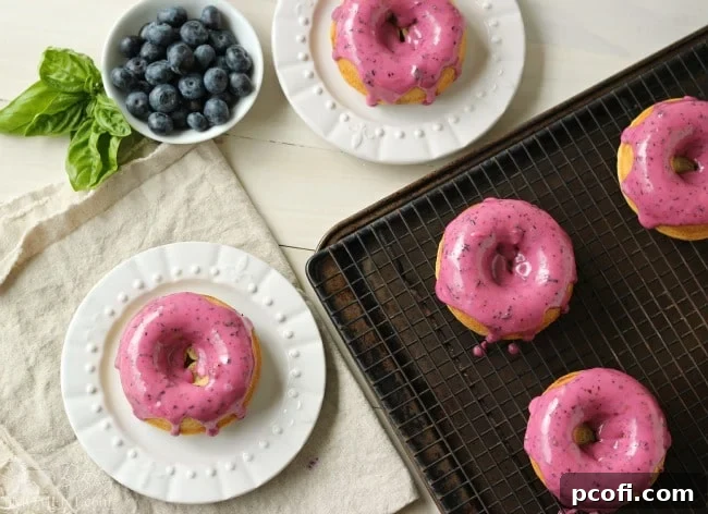 Blueberry sour cream donuts on a cooling rack