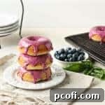 Baked Blueberry Sour Cream Donuts - Recipe Card Image