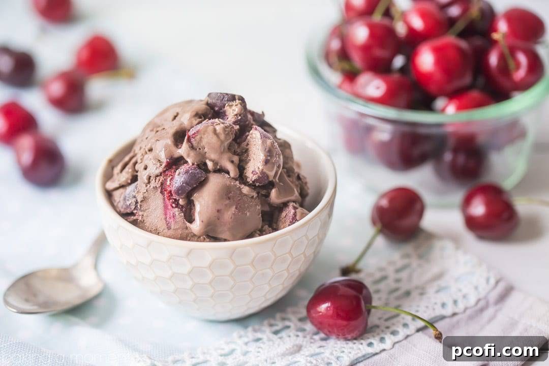 A full bowl of deeply flavored chocolate cherry chip ice cream, adorned with whole dark sweet cherries and visible chocolate chips, promising a delightful summer dessert.