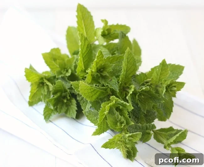 Freshly picked mint leaves, ready for infusion