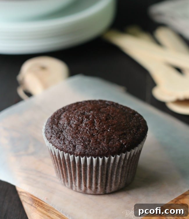 Simply Perfect Chocolate Cupcakes