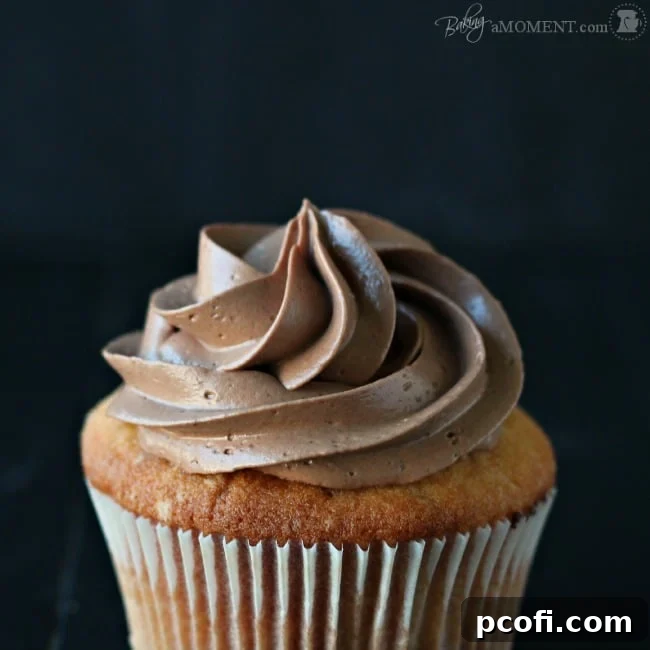 Simply Perfect Chocolate Swiss Meringue Buttercream