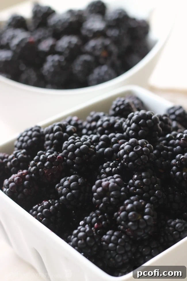 Freshly Picked Blackberries
