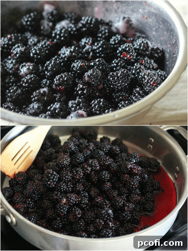 Macerated Blackberries with Sugar