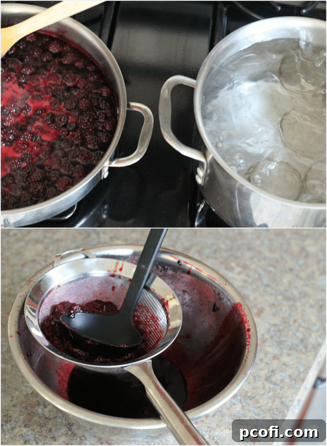 Straining Blackberries to Remove Seeds