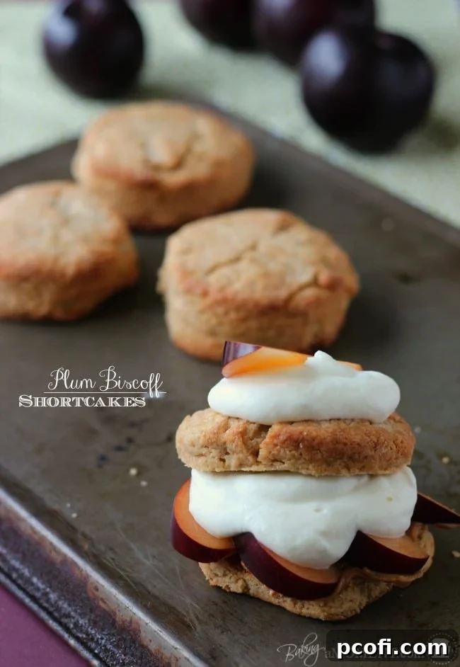 Plum Biscoff Shortcakes