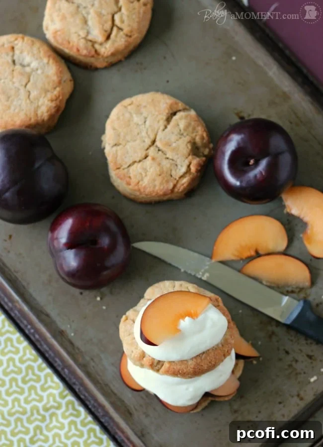 Plum Biscoff Shortcakes