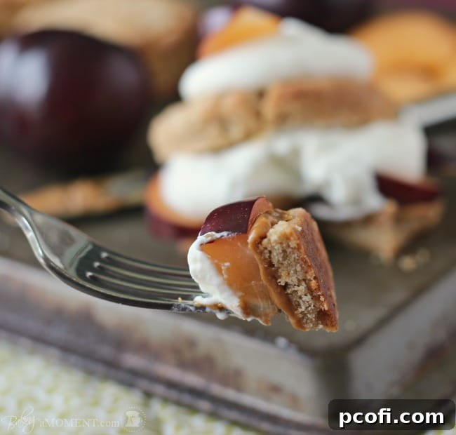 Plum Biscoff Shortcakes