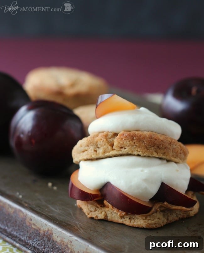 Plum Biscoff Shortcakes