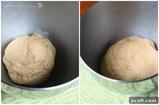 Bread Dough Rising in a Bowl