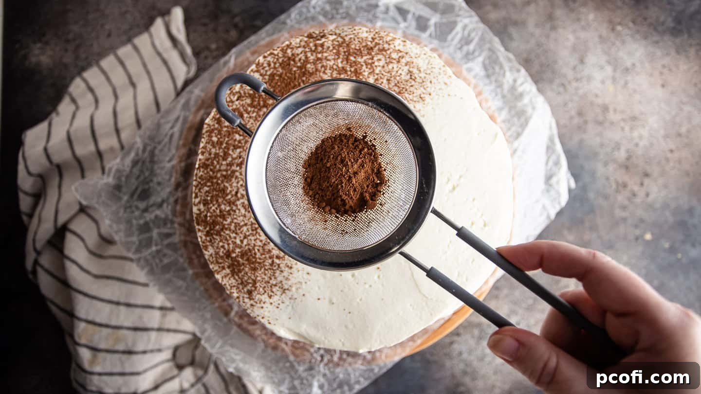 Dusting the top of a tiramisu cake with cocoa.