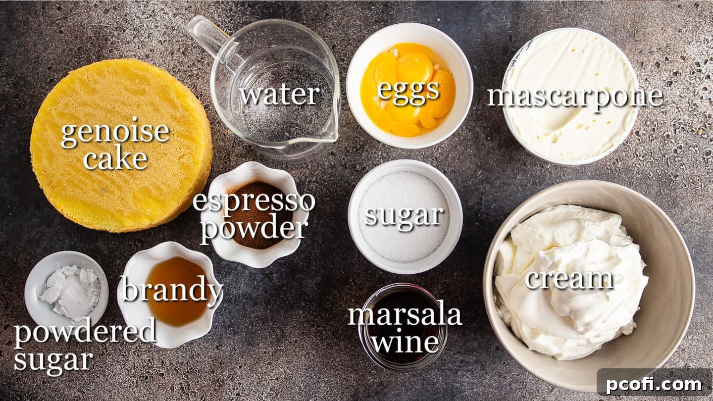 Ingredients for making tiramisu cake, with text labels.